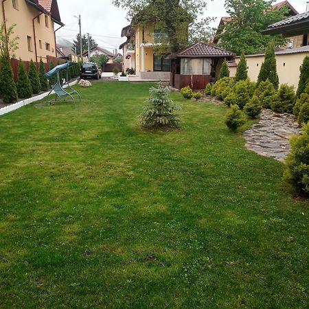 Izabella Guest House Săcele エクステリア 写真