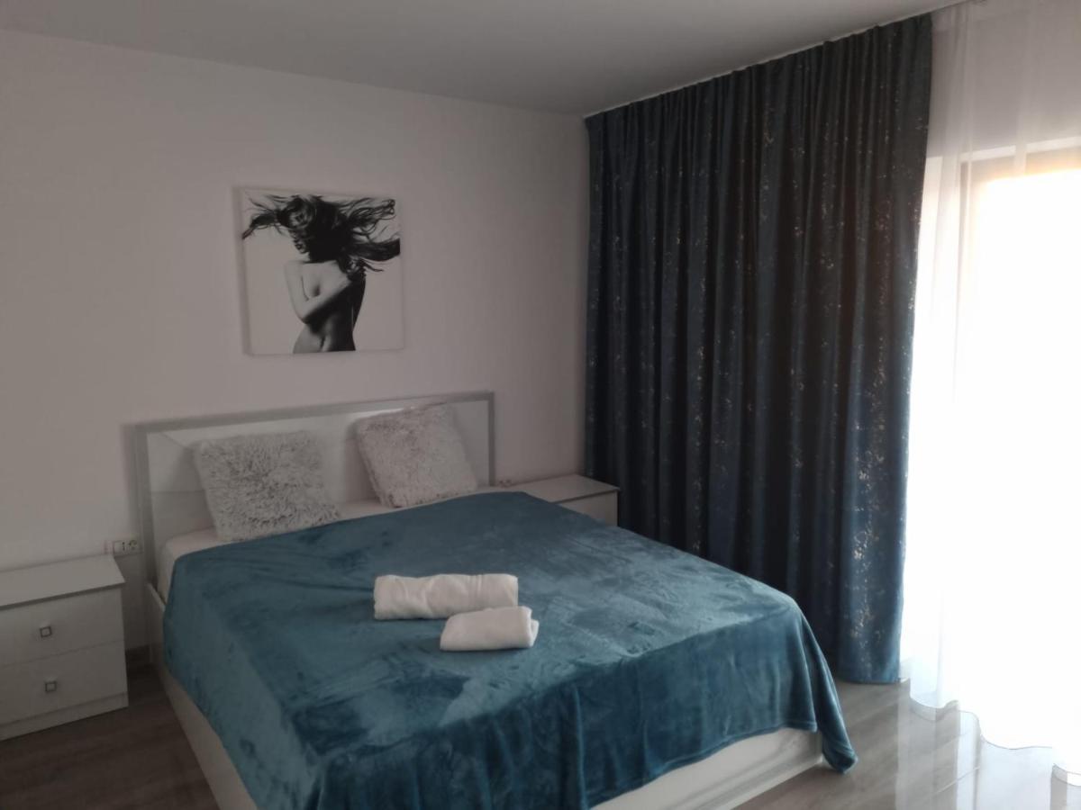 Izabella Guest House Săcele エクステリア 写真