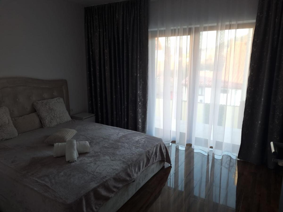 Izabella Guest House Săcele エクステリア 写真