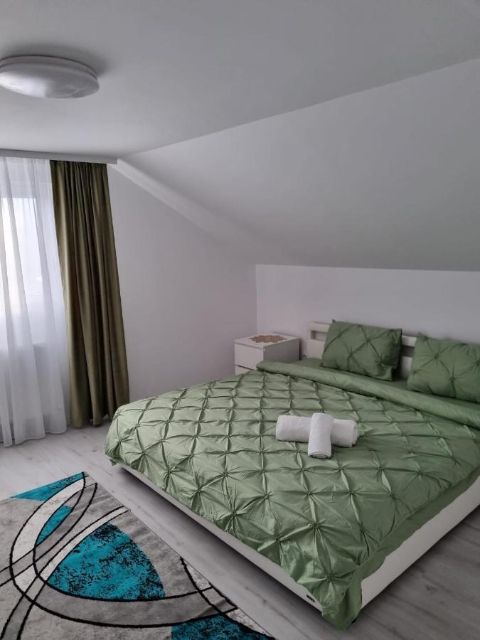 Izabella Guest House Săcele エクステリア 写真