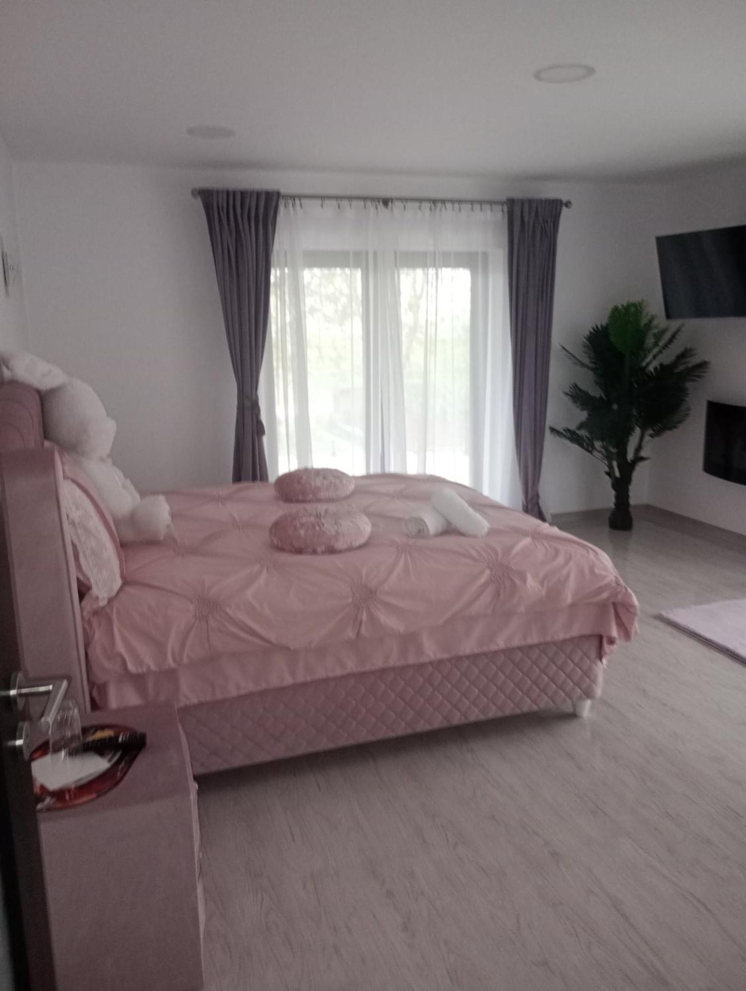 Izabella Guest House Săcele エクステリア 写真