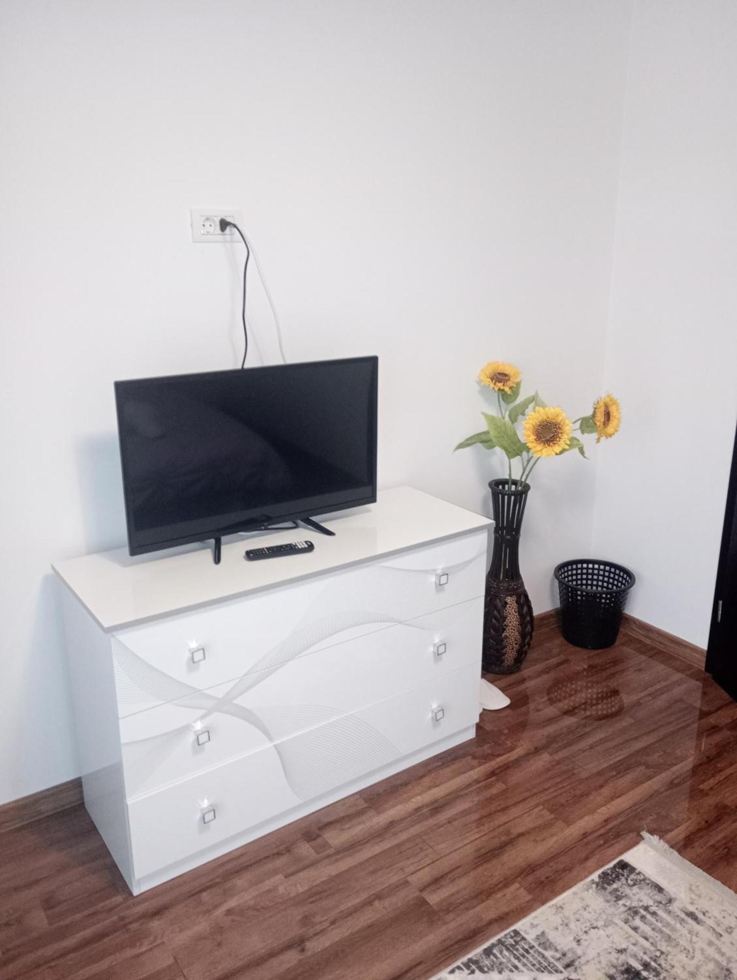 Izabella Guest House Săcele エクステリア 写真