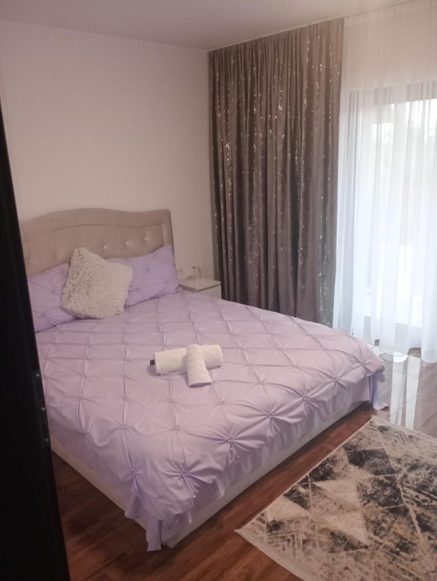Izabella Guest House Săcele エクステリア 写真