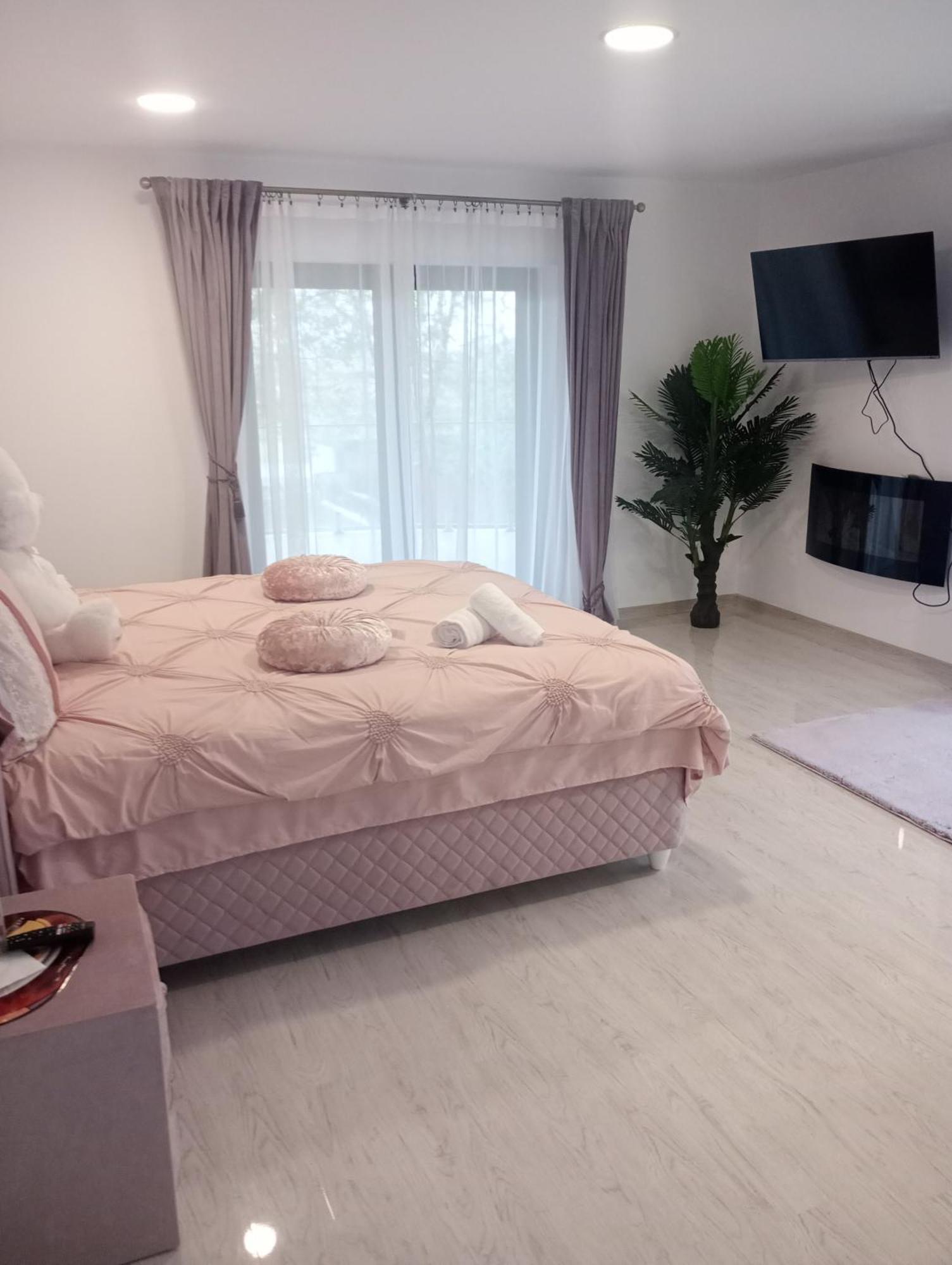 Izabella Guest House Săcele エクステリア 写真
