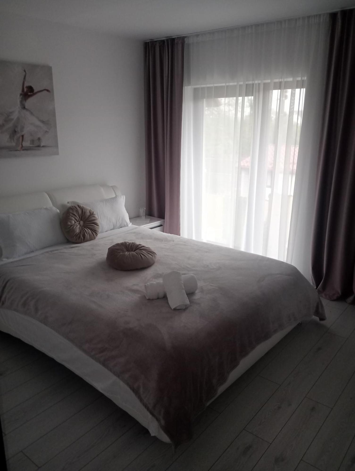Izabella Guest House Săcele エクステリア 写真