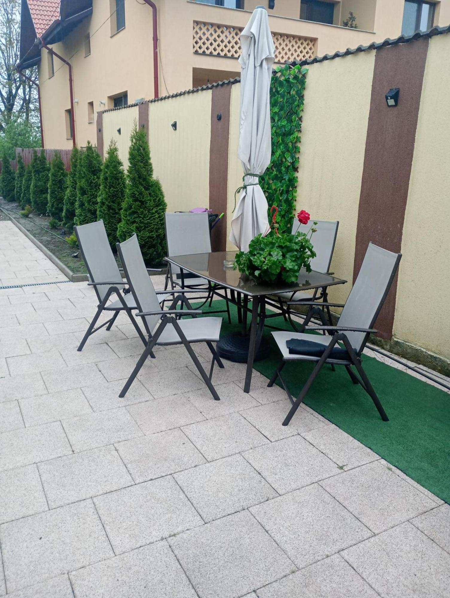 Izabella Guest House Săcele エクステリア 写真