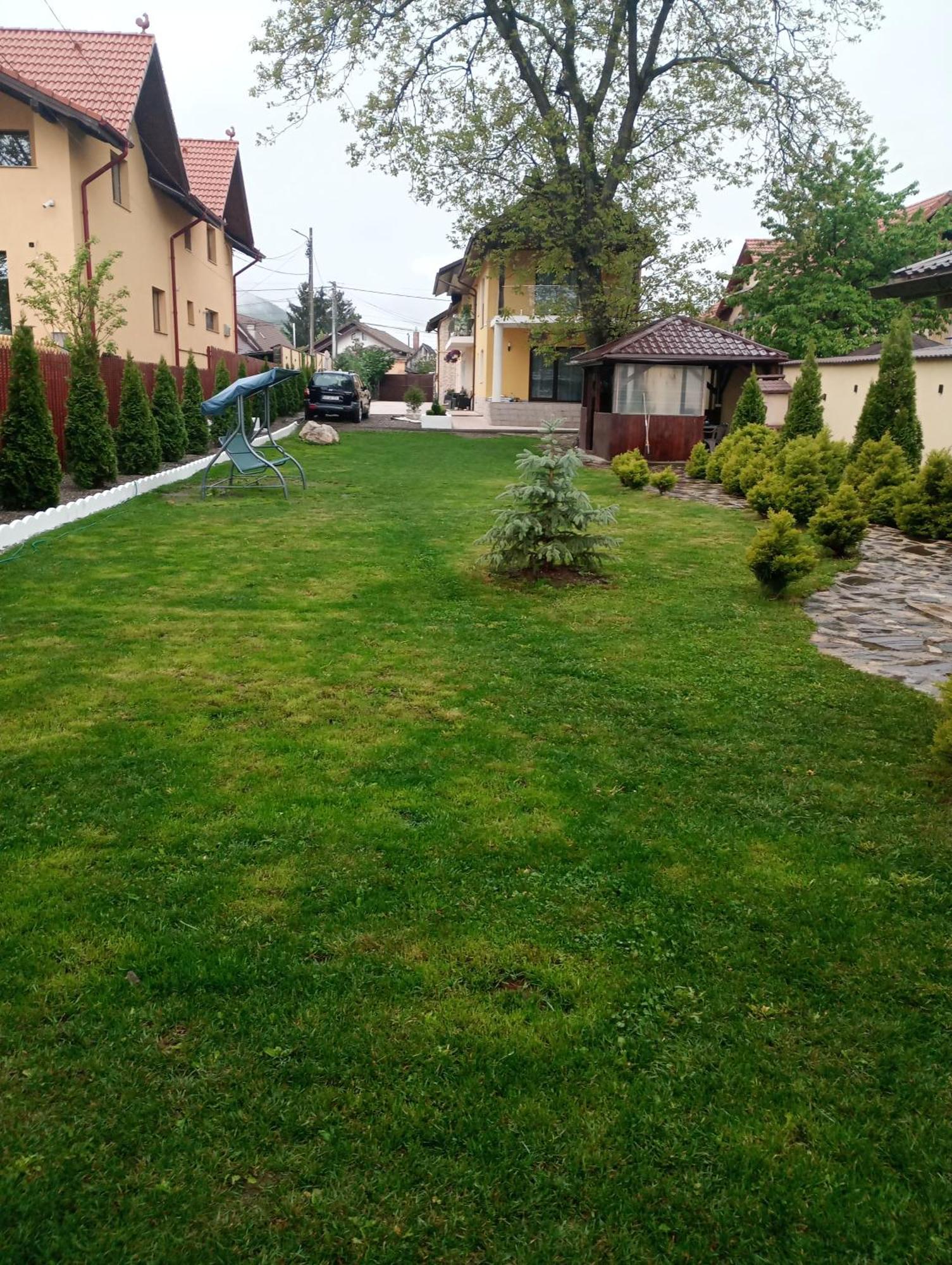 Izabella Guest House Săcele エクステリア 写真