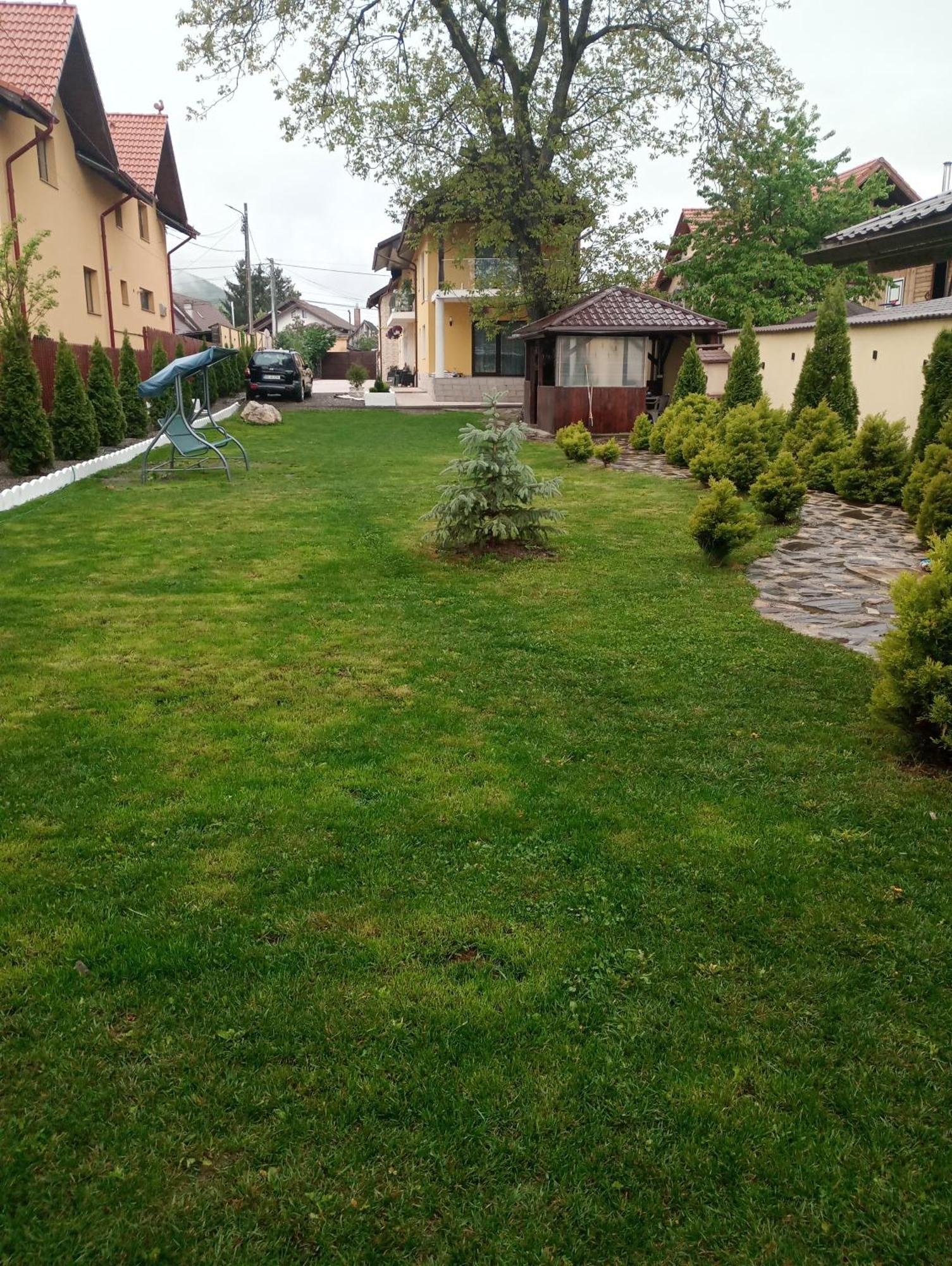 Izabella Guest House Săcele エクステリア 写真